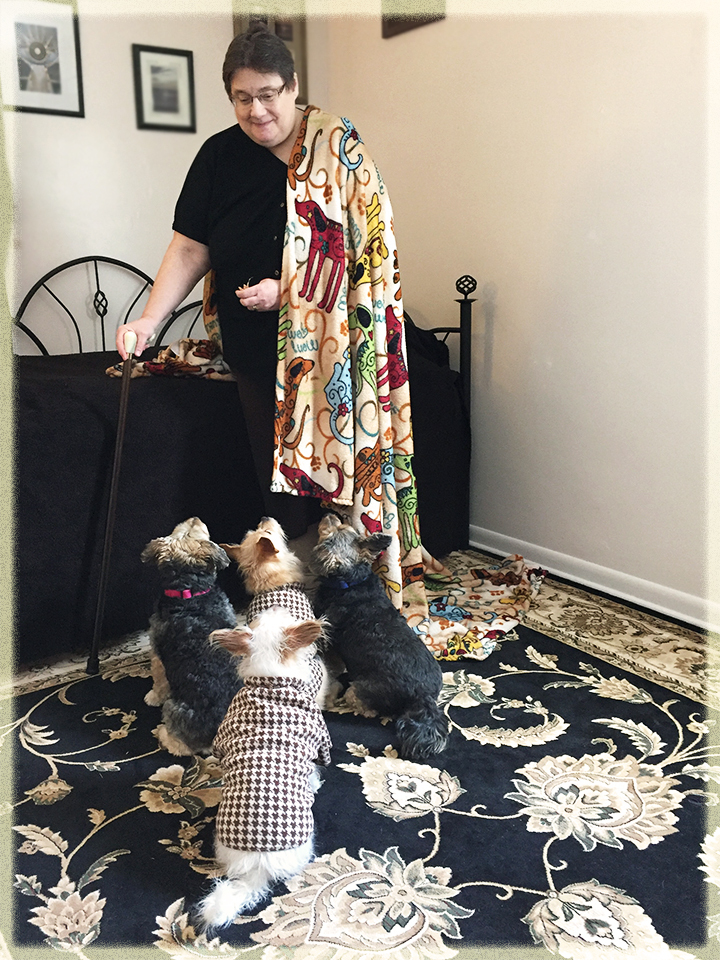 Cane and Canines